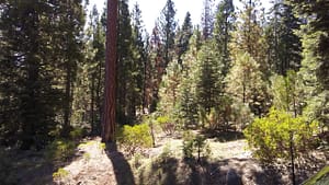 20160905_112911