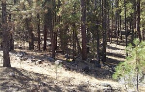 20160904_121758_2