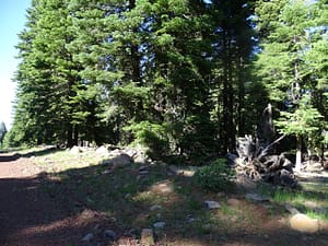 20043-CA Pines .92 Acres-1