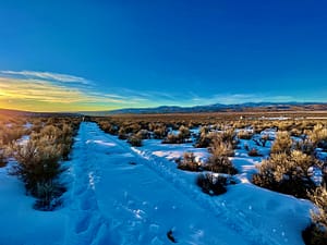 IMG_0046