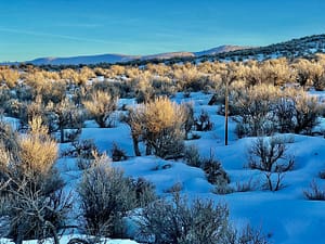 IMG_0047