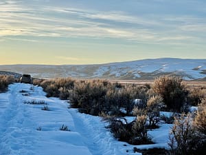 IMG_0051