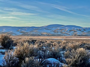 IMG_0052