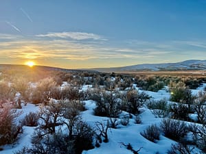 IMG_0071
