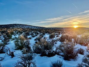 IMG_0072