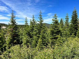 IMG_4706