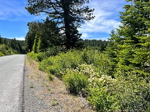 IMG_4710
