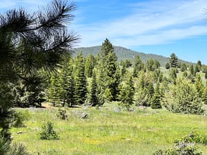 IMG_4738