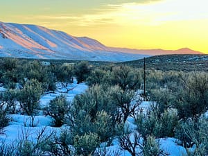 IMG_0077