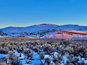IMG_0082