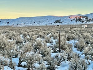 IMG_0085