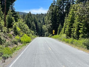 IMG_4701