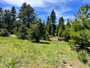 IMG_4736