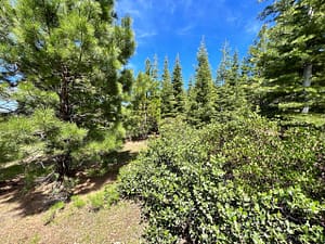 IMG_4741