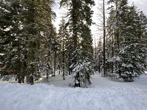 IMG_9778