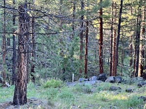 IMG_4480