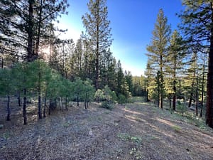 IMG_4489
