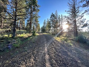 IMG_4502