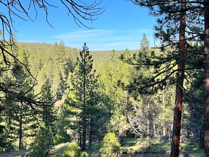 IMG_4506