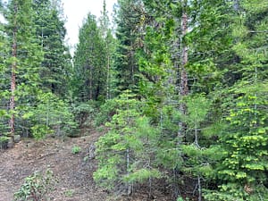 IMG_4543
