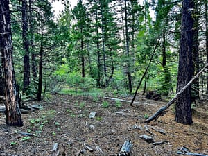 IMG_4568