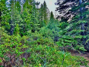 IMG_4570