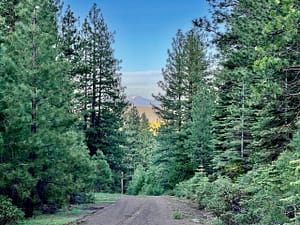 IMG_4573