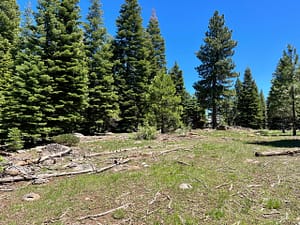 IMG_4651