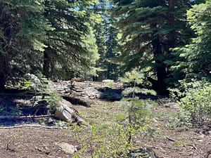 IMG_4667