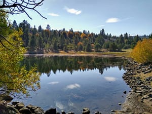Browns Pond