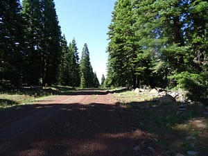 20043-CA Pines .92 Acres-2