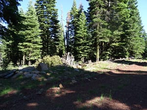20043-CA Pines .92 Acres-3