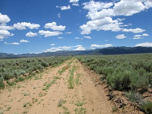 looking E at the N border of property - property on right