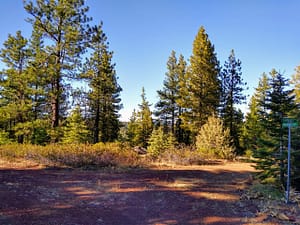 IMG_20191104_135600824_HDR
