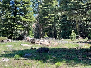 IMG_4640