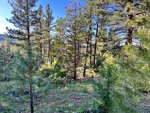 IMG_5079 (Website-DEVILS1.90)