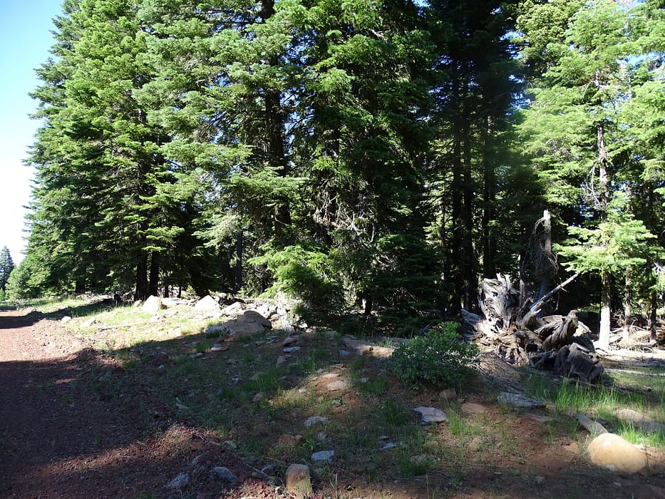 20043-CA Pines .92 Acres-1