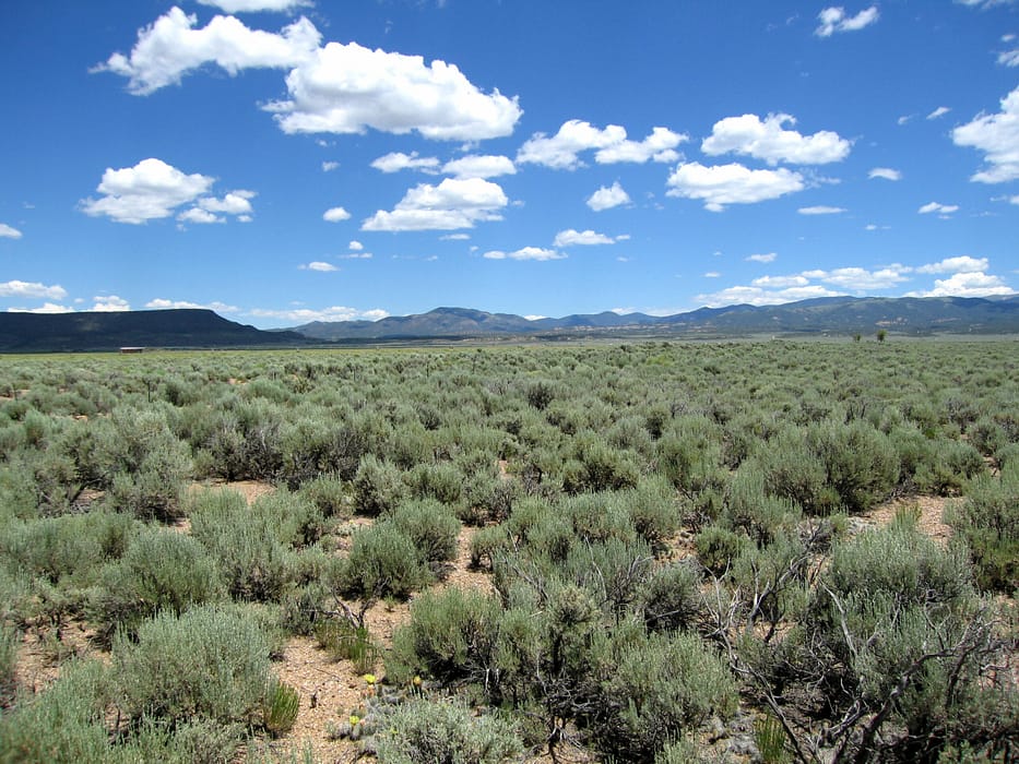 looking NE(2)