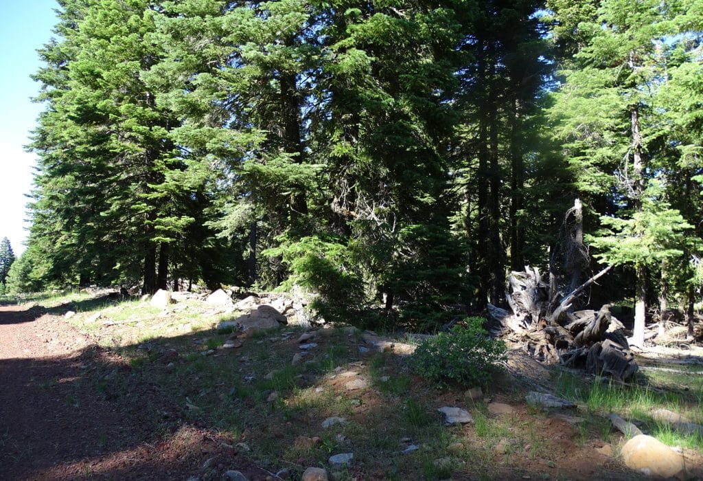 20043-CA Pines .92 Acres-1