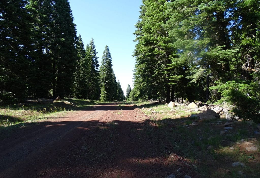 20043-CA Pines .92 Acres-2