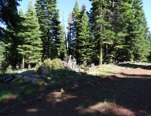 20043-CA Pines .92 Acres-3