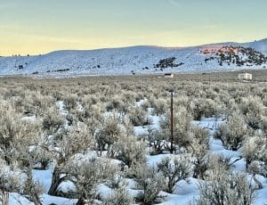 IMG_0085