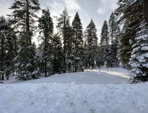 IMG_9775